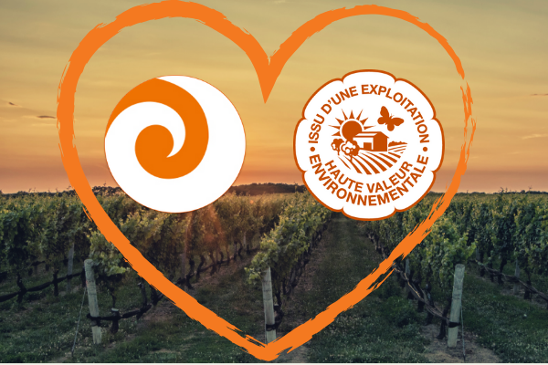 Propriétés HVE et vins de marque certifiés : nous partageons le même environnement