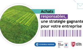 Actualités SICSOE
